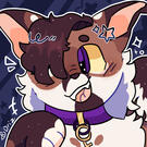 ✰ ✰
